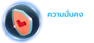 ความมั่นคงของเว็บไซต์